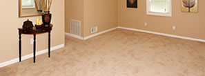 Carpet installation and Rugs